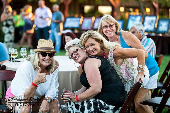 Temecula Wedding Photographer, Concert Photographer at Wiens Family Cellars Winery, The English Beat