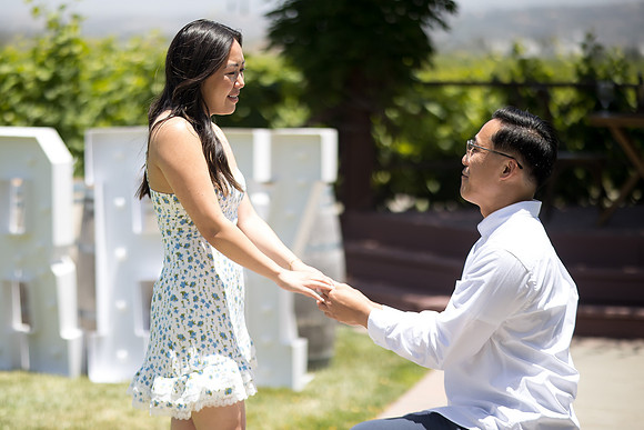 nina les orange county wedding photographer lorimar temecula winery surprise proposal-52