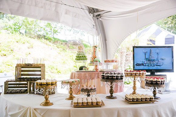Fallbrook, Temecula Wedding Photographer at Pala Mesa Bridal Show by Photoquest Studio, Photography-10