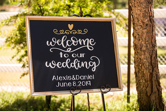 Temecula Wedding Photo at Hawk Ranch, Murrieta by Photographer of Photoquest Studio, Alexis & Daniel-422
