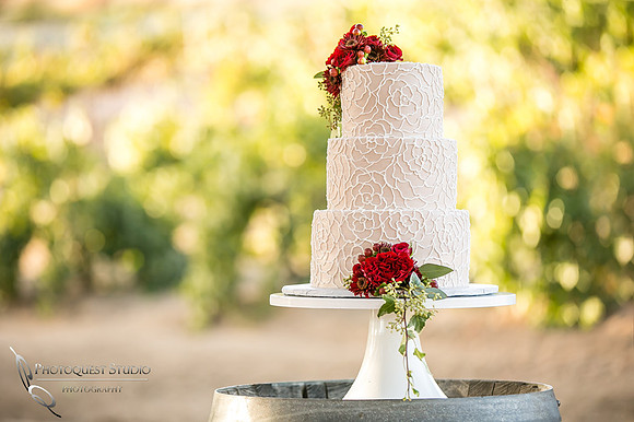 Engagement,-Wedding-Photographer-in-Temecula,-Wedding-Photo-at-Europa-Village-Winery-(16)