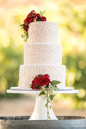 Engagement,-Wedding-Photographer-in-Temecula,-Wedding-Photo-at-Europa-Village-Winery-(15)