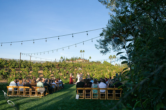 Engagement,-Wedding-Photographer-in-Temecula,-Wedding-Photo-at-Europa-Village-Winery-(22)