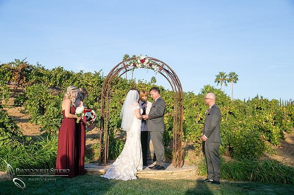 Engagement,-Wedding-Photographer-in-Temecula,-Wedding-Photo-at-Europa-Village-Winery-(23)