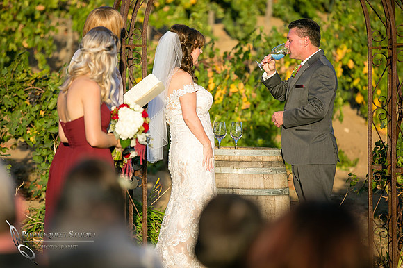 Engagement,-Wedding-Photographer-in-Temecula,-Wedding-Photo-at-Europa-Village-Winery-(25)