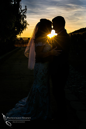 Engagement,-Wedding-Photographer-in-Temecula,-Wedding-Photo-at-Europa-Village-Winery-(31)