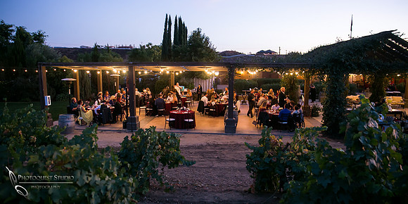 Engagement,-Wedding-Photographer-in-Temecula,-Wedding-Photo-at-Europa-Village-Winery-(35)