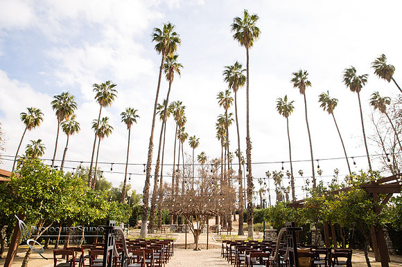 Temecula-Menifee-Wedding-Photographer,-California-Citrus-State-Historic-Park,-Andrea-&-Andy----2