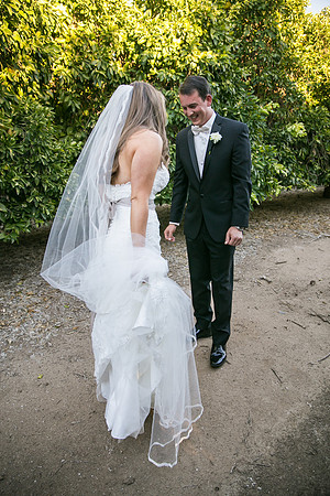 Beautiful wedding at Wiens Family Cellars Temecula Winery - Sarah & Shawn