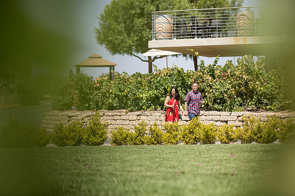 Surprise Proposal at Callaway, Temecula Winery by Wedding Photographer of Photoquest Studio - Tim & Megan
