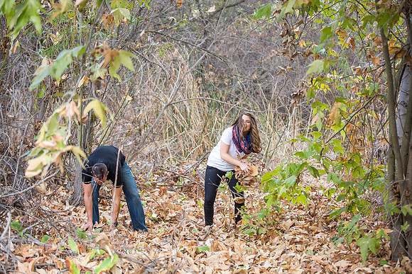 Southern California Engagement with nature in fall Photos in Fallbrook, San Diego by Temecula Winery Wedding Photographer, Sarah & Shawn