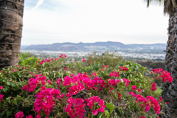 Los Angeles Wedding Photographer at Castaway Burbank, Shauneille & Steve-261