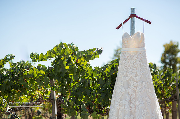 Wedding Photo at Temecula Winery, Wiens Family Cellars by Temecula Wedding Photographer, Amanda and Jonathon