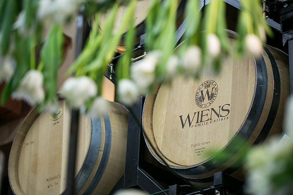 The same sex wedding Styled Shoot by Photoquest Studio, Photography at Wiens Winery (9)