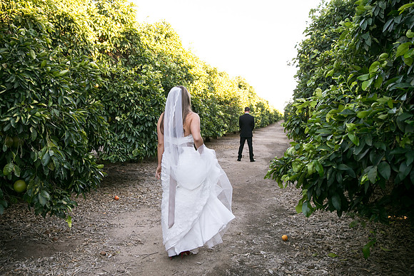 Beautiful wedding at Wiens Family Cellars Temecula Winery - Sarah & Shawn