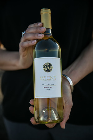 The same sex wedding Styled Shoot by Photoquest Studio, Photography at Wiens Winery (118)
