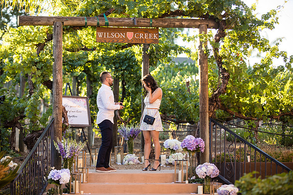 Surprise Proposal, Wilson Creek, Temecula Winery Wedding Photographer, Noelle & Johnny (16)