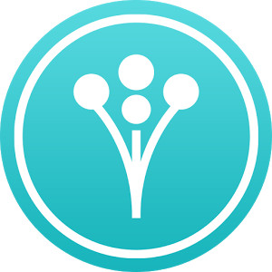 WeddingWire