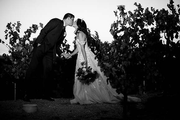 Temecula Wedding Photographer at Avensole Winery, Haley & Tristian-637