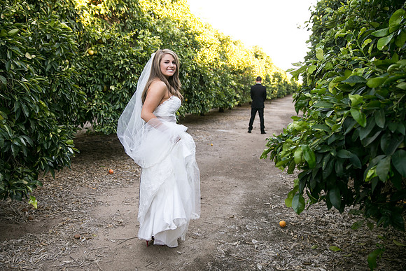 Beautiful wedding at Wiens Family Cellars Temecula Winery - Sarah & Shawn