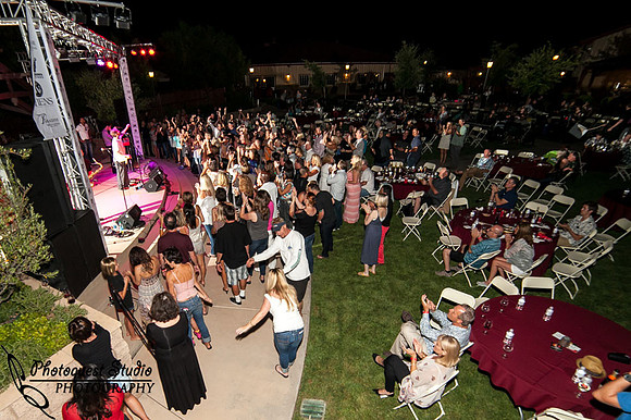 Temecula Wedding Photographer, Concert Photographer at Wiens Family Cellars Winery, The English Beat