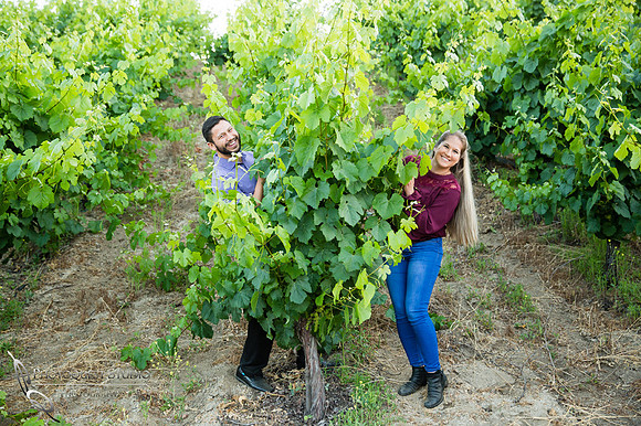 Fun time at Temecula winery during Covid season