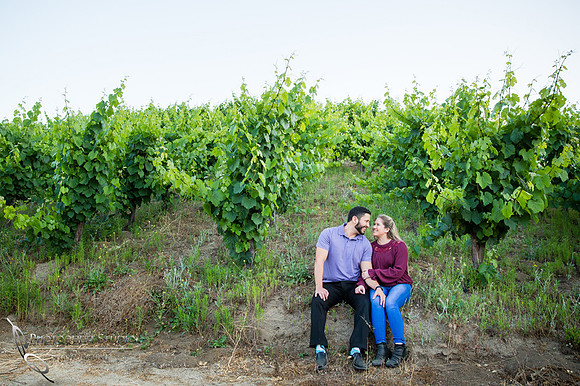 Just the two of us and the vineyard, Engagement photo
