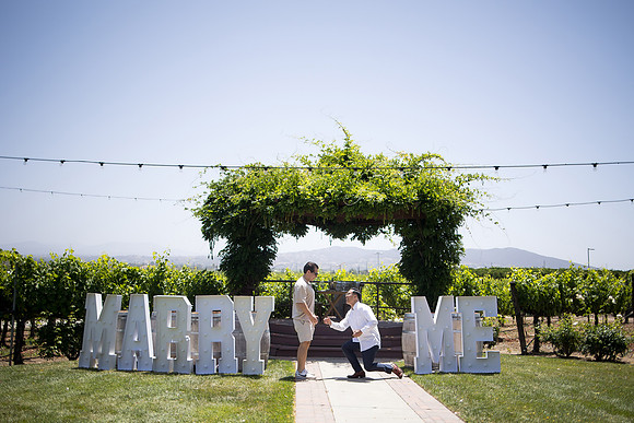 nina les orange county wedding photographer lorimar temecula winery surprise proposal-5