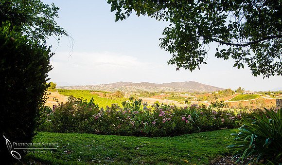 South-Coast-Winery