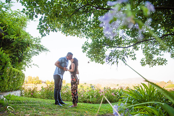 South-Coast-Winery-Surprise-Proposal-Photos