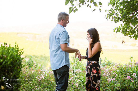 She said Yes, Surprise-Proposal-Photo