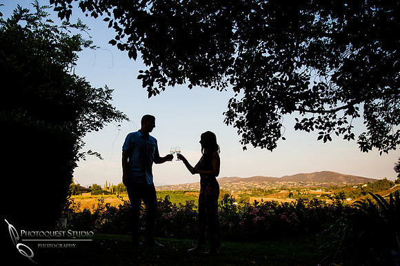 Winery-View-Surprise-Proposal-Photo