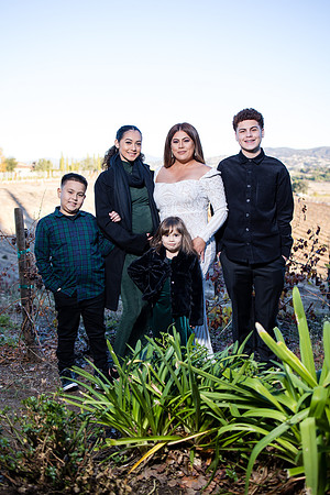 Bride & Groom, Winery Maternity, Temecula Wedding Photographer, California, Adele & Quincy-20