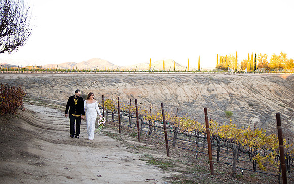 Bride & Groom, Winery Maternity, Temecula Wedding Photographer, California, Adele & Quincy-68