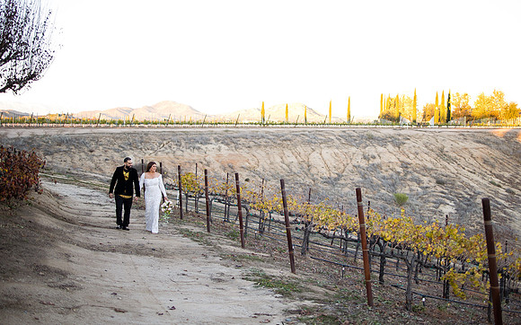 Bride & Groom, Winery Maternity, Temecula Wedding Photographer, California, Adele & Quincy-67
