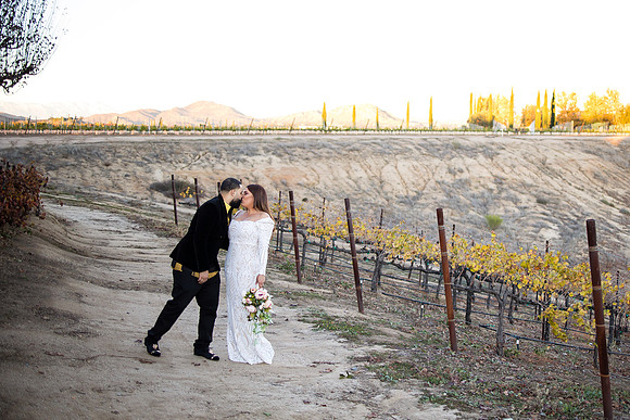 Bride & Groom, Winery Maternity, Temecula Wedding Photographer, California, Adele & Quincy-71