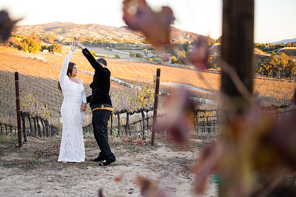 Bride & Groom, Winery Maternity, Temecula Wedding Photographer, California, Adele & Quincy-77