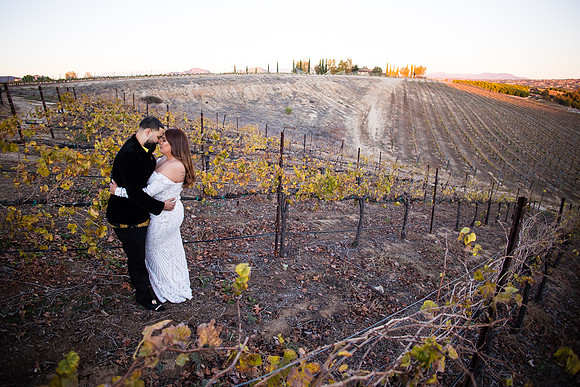 Bride & Groom, Winery Maternity, Temecula Wedding Photographer, California, Adele & Quincy-93