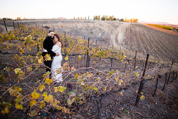 Bride & Groom, Winery Maternity, Temecula Wedding Photographer, California, Adele & Quincy-94