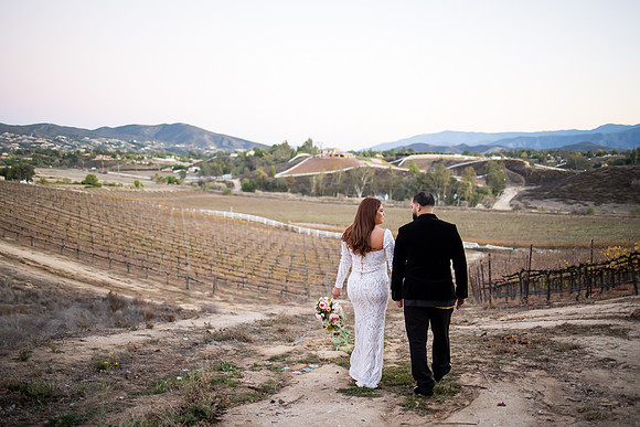 Bride & Groom, Winery Maternity, Temecula Wedding Photographer, California, Adele & Quincy-121