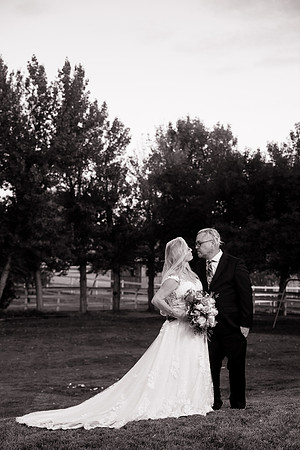 Orange County Photographer at Temecula Backyard Wedding, Karen & Chris-178