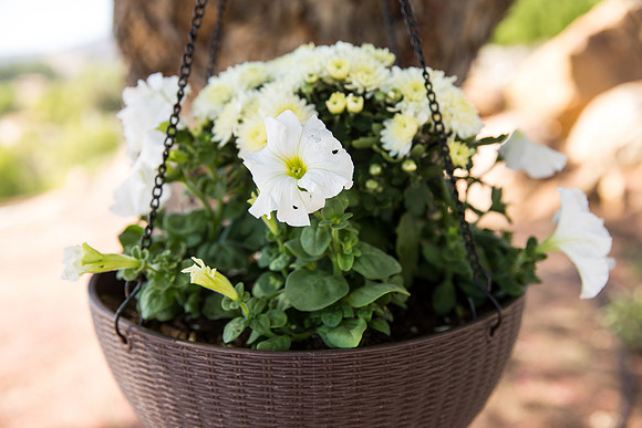 Temecula Wedding Photographer at Private Residence Wedding in La Cresta, Shae & Justin-11