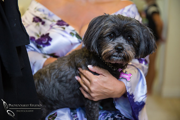 Micro-Wedding-by-Wedding-Photographer-in-Temecula,-Rachel-&-Scott-19
