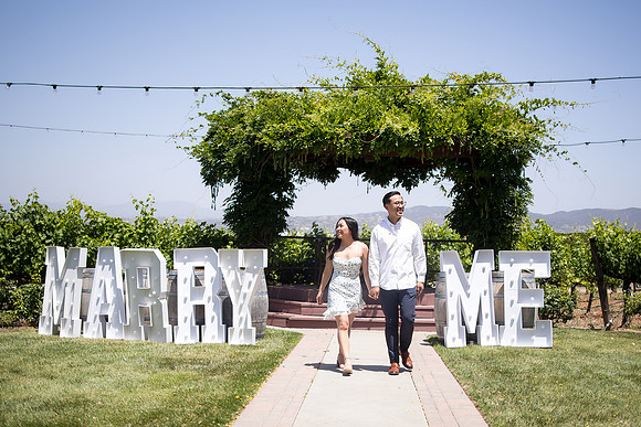 nina les orange county wedding photographer lorimar temecula winery surprise proposal-126