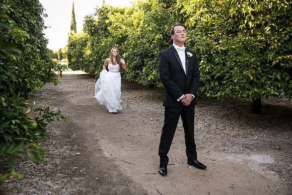 Beautiful wedding at Wiens Family Cellars Temecula Winery - Sarah & Shawn