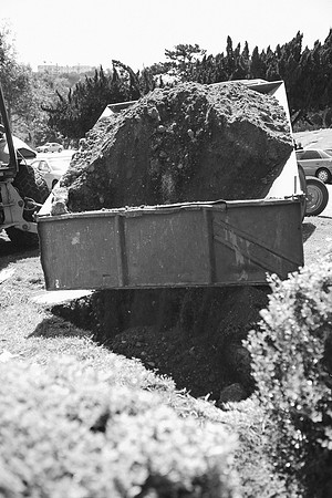 TL's Mom Funeral - B&W-270
