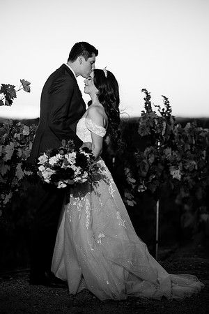 Temecula Wedding Photographer at Avensole Winery, Haley & Tristian-616