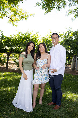 nina les orange county wedding photographer lorimar temecula winery surprise proposal-95