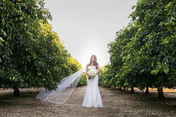 Beautiful wedding at Wiens Family Cellars Temecula Winery - Sarah & Shawn