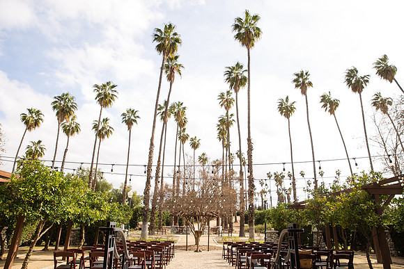 Temecula Menifee Wedding Photographer, California Citrus State Historic Park, Andrea & Andy   -2
